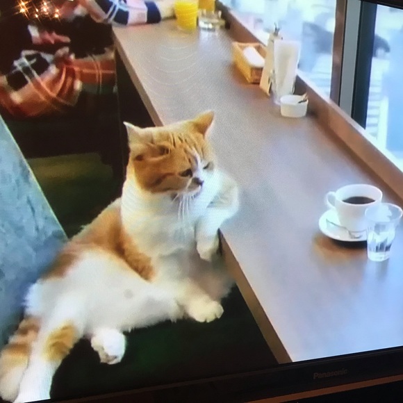 Open for business 24/7 🤩 - Picture 4 of 16